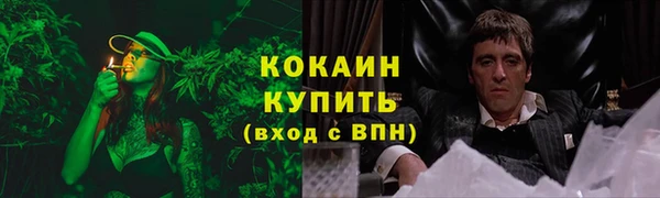 кокс Новодвинск