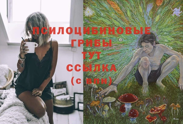 мяу мяу кристалл Новозыбков