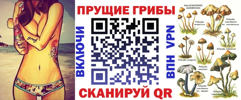blacksprut tor  Алексеевка  Галлюциногенные грибы Psilocybe  цены  