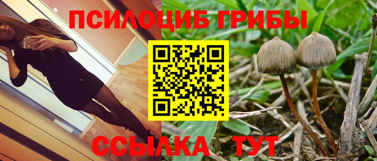 Алексеевка  Псилоцибиновые грибы мицелий  Вход с VPN 