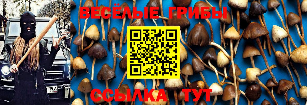 Алексеевка  Псилоцибиновые грибы ЛСД  Вход с VPN 