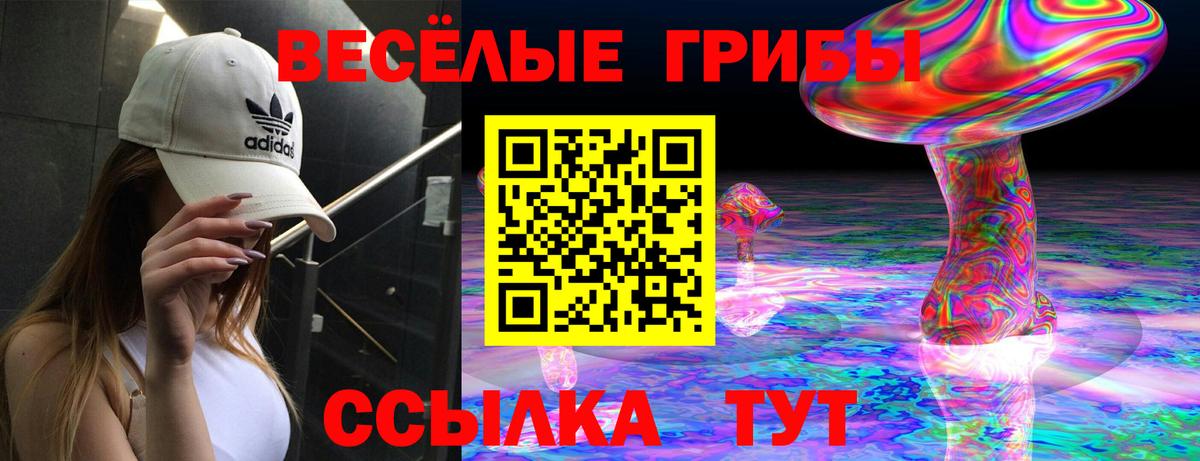 Галлюциногенные грибы Magic Shrooms Алексеевка